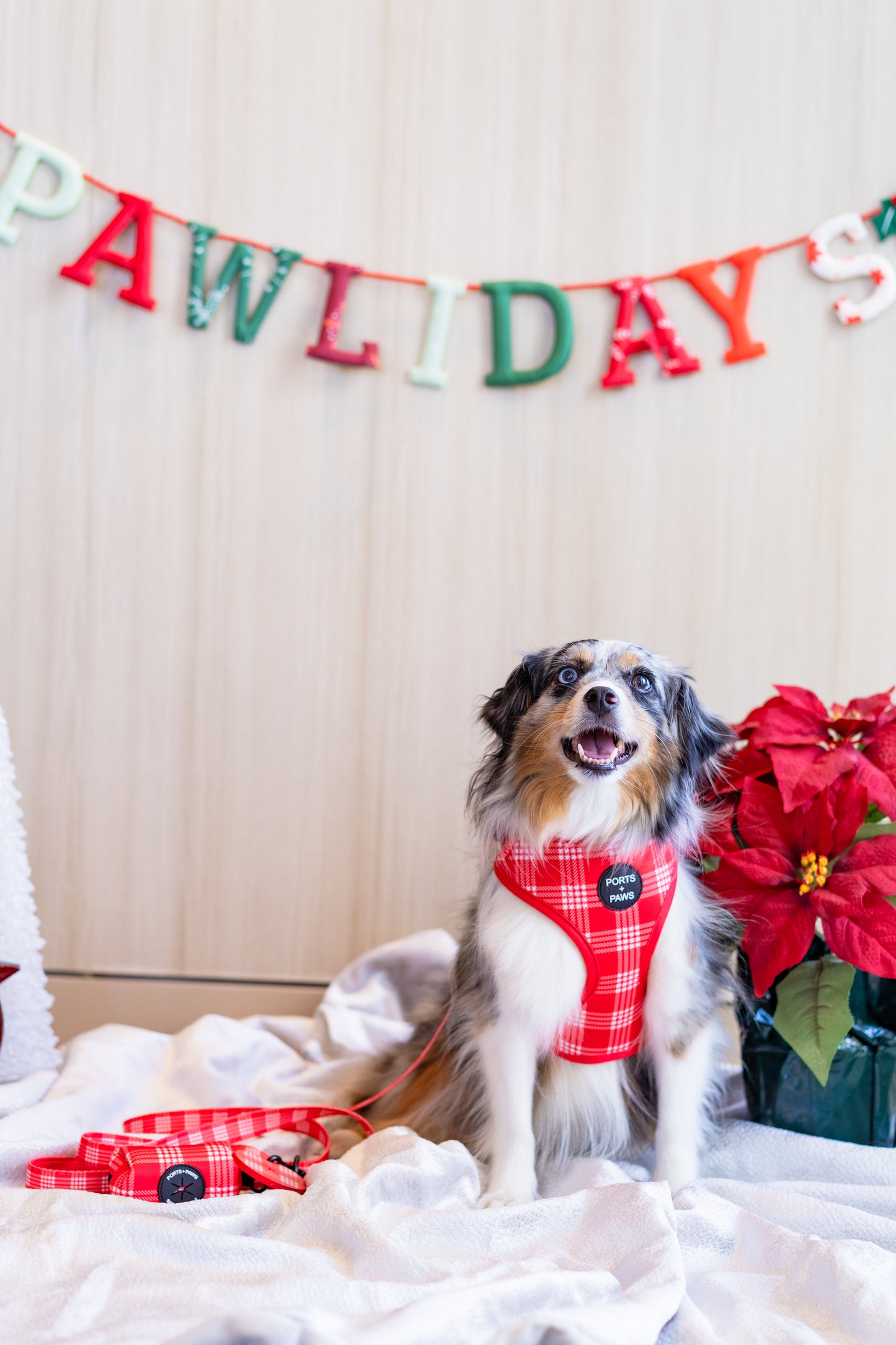 POOP BAG HOLDER - PALAKA RED