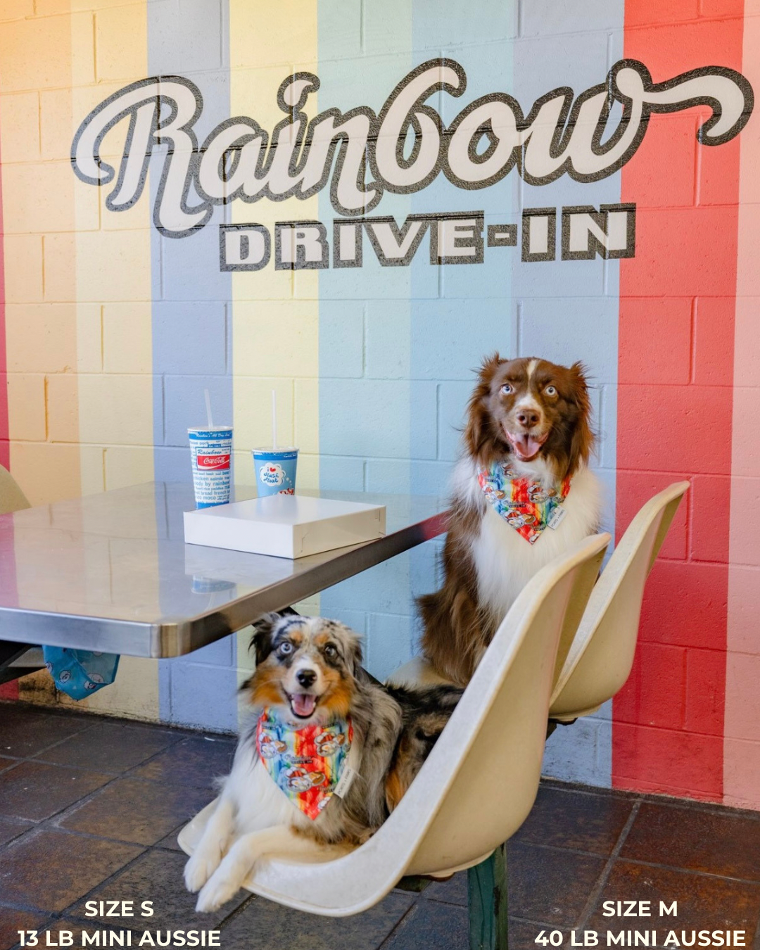 QUICK DRY BANDANA - RAINBOW DRIVE-IN