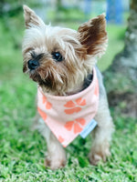 QUICK DRY BANDANA - HIBISCUS PUMPKIN