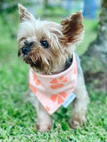 QUICK DRY BANDANA - HIBISCUS PUMPKIN