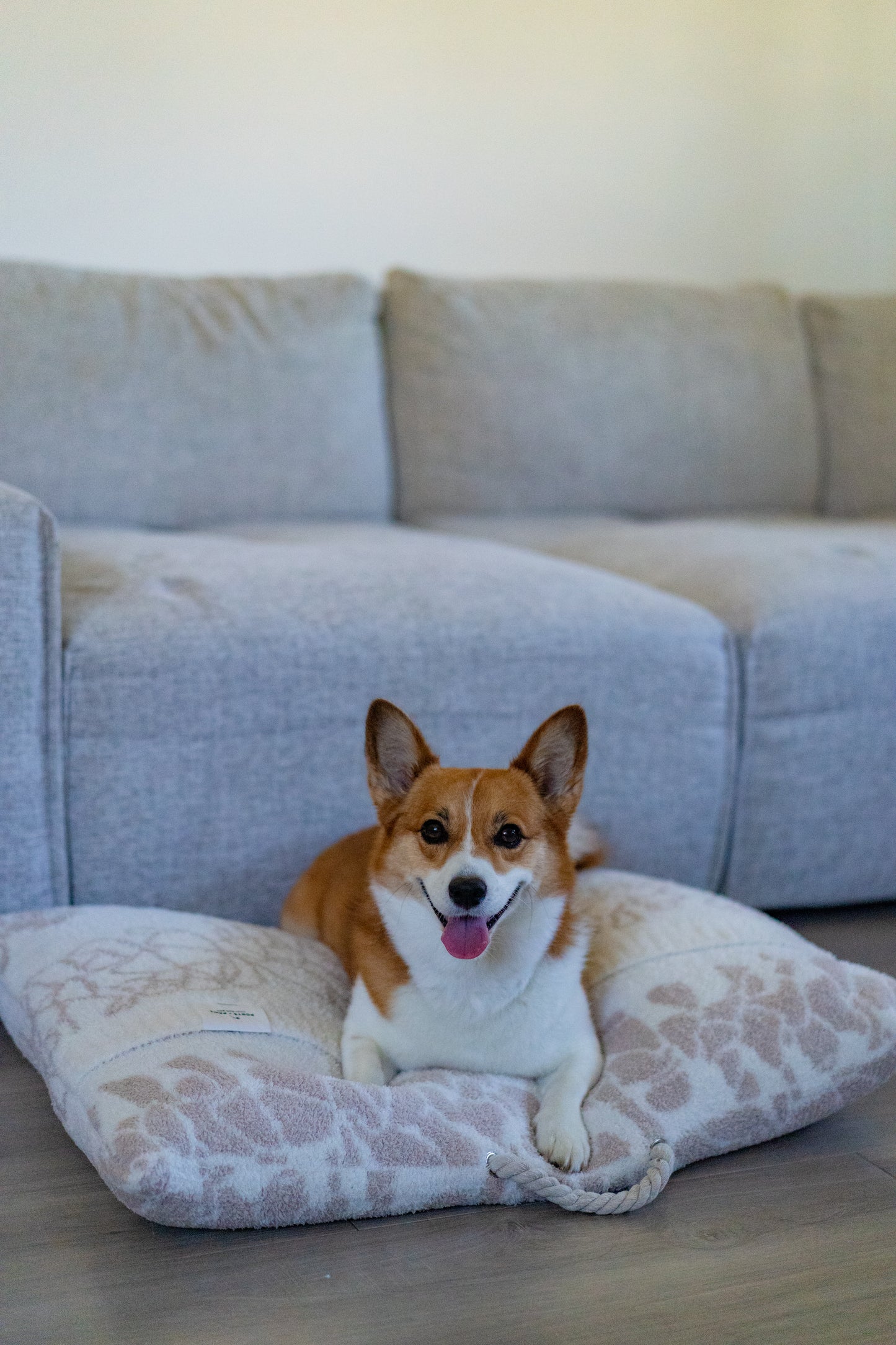 COZY DOG BED - PUAKENIKENI