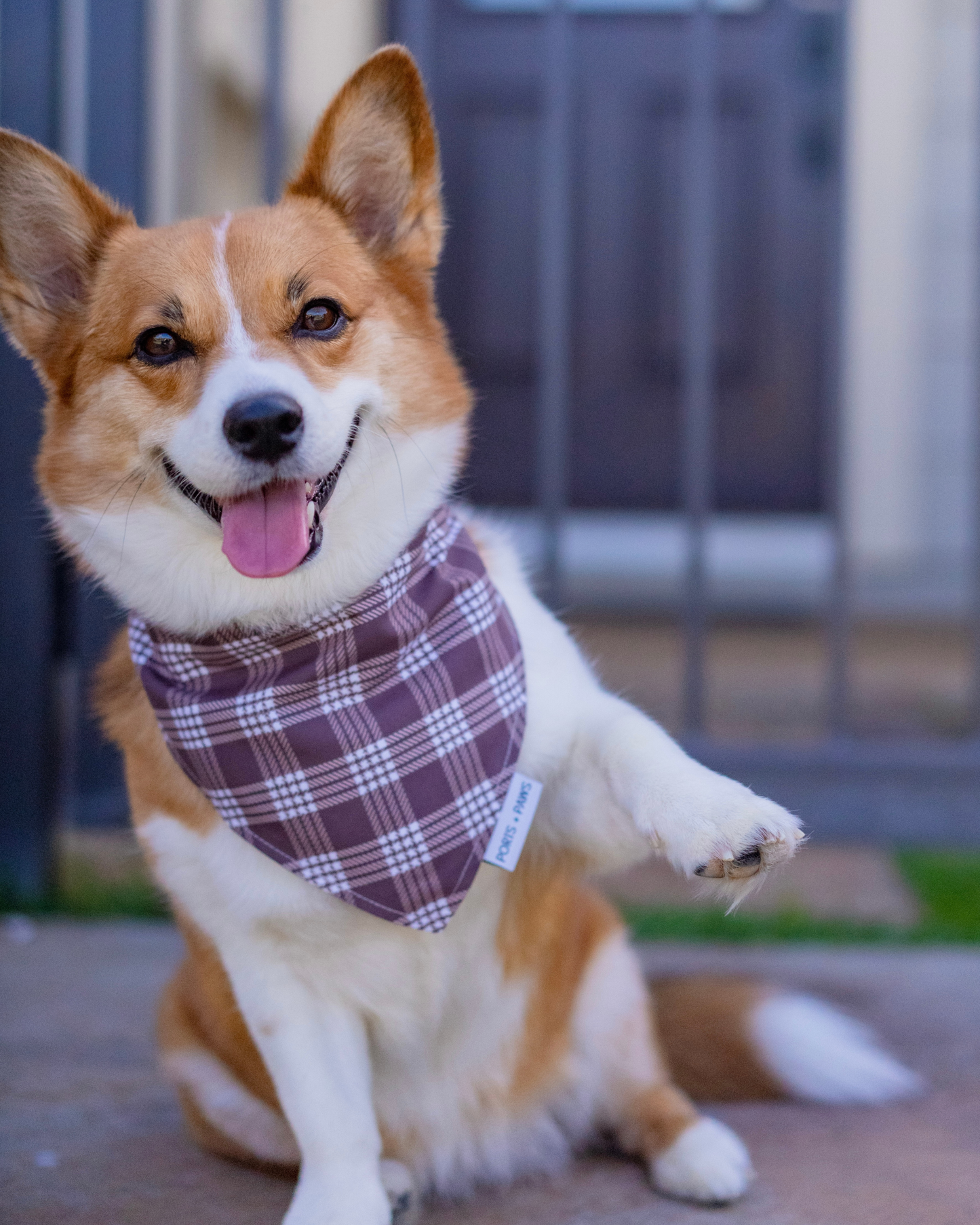 QUICK DRY BANDANA - PALAKA BROWN