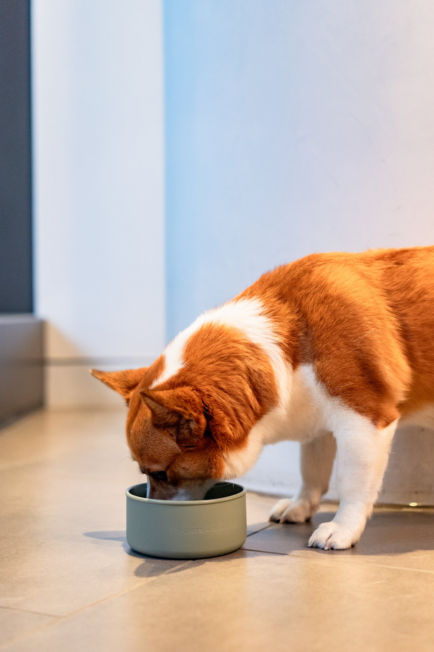 DOG BOWL - PALM