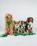 DOG TOY - UH FOOTBALL