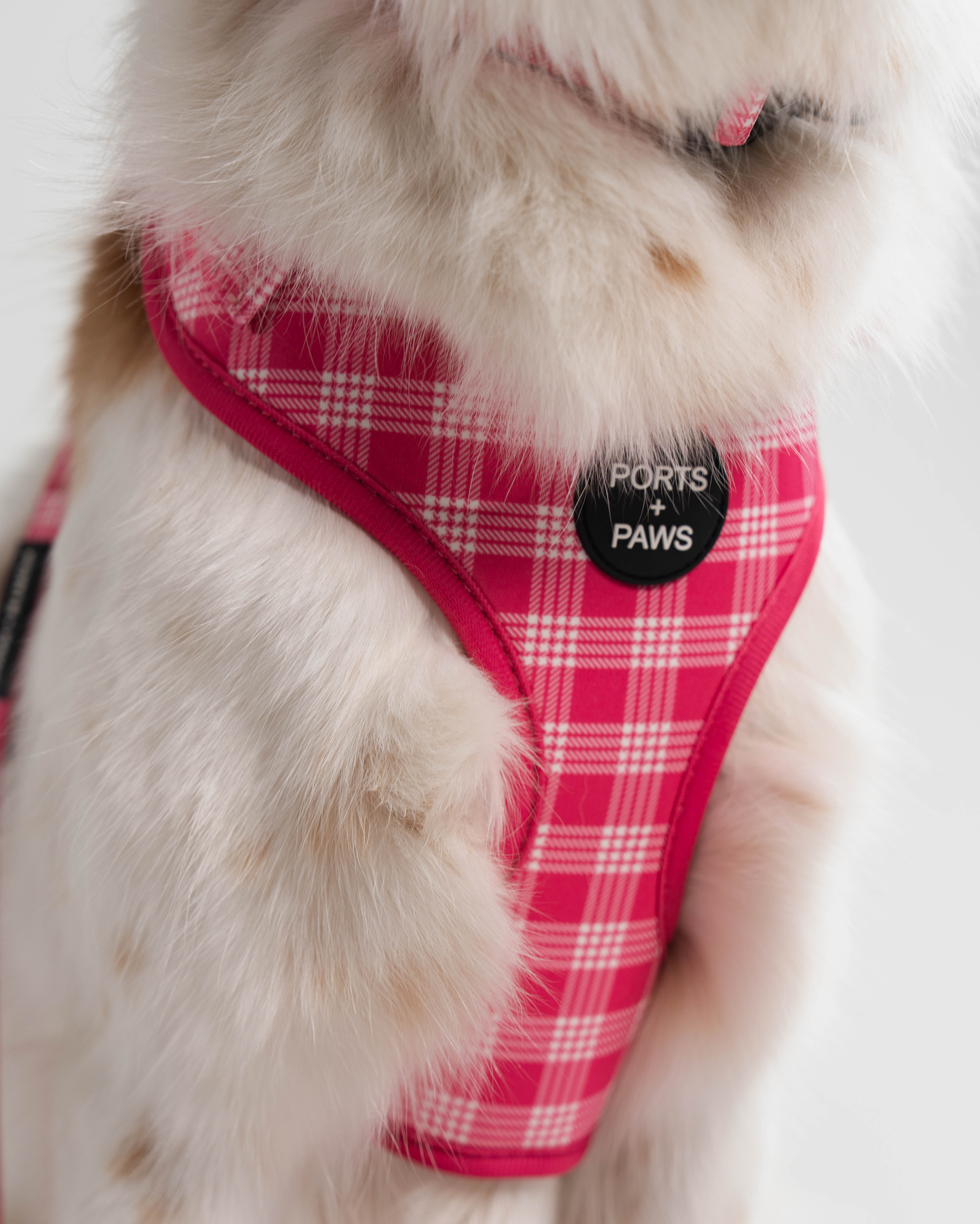 ADJUSTABLE HARNESS - PALAKA PINK