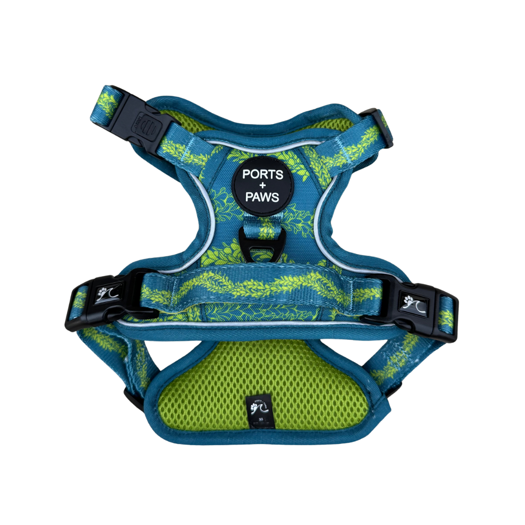 RUGGED HARNESS - PAKALANA