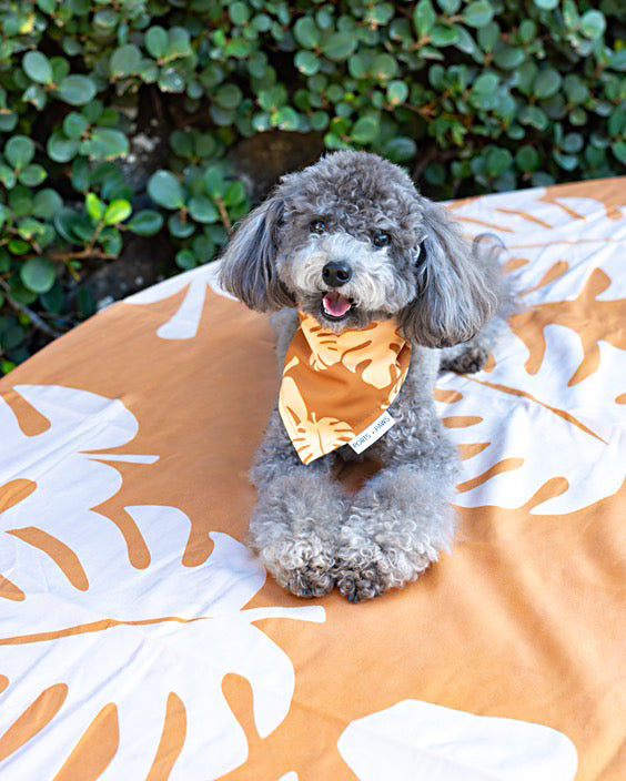 TOWEL - MONSTERA PUMPKIN SPICE