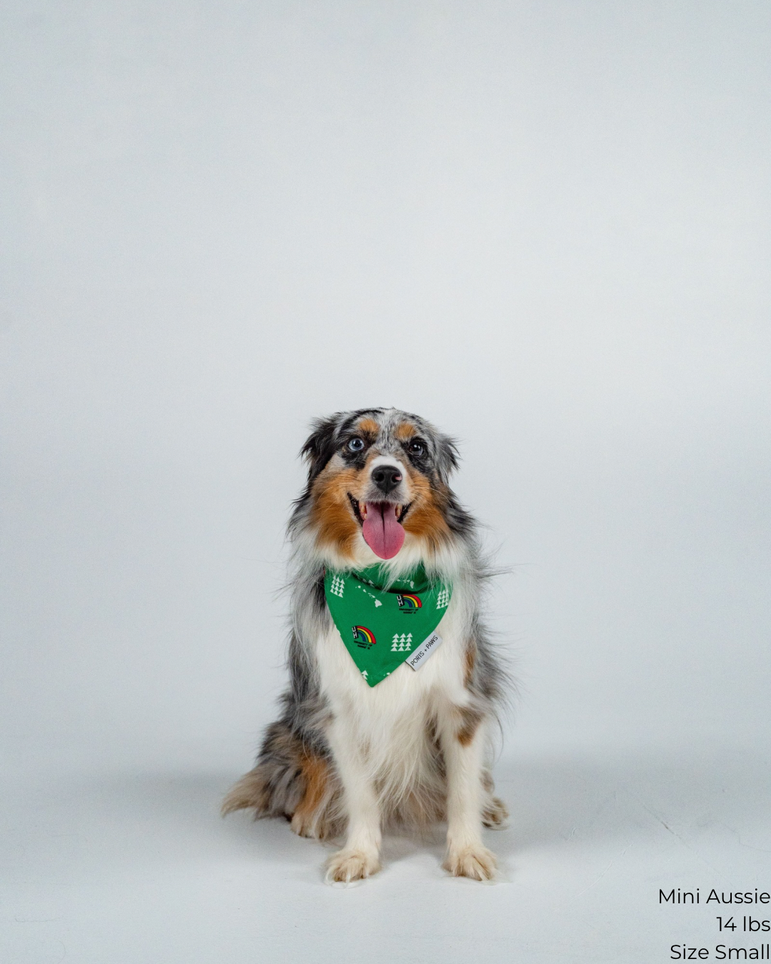 QUICK DRY BANDANA - UH VINTAGE GREEN