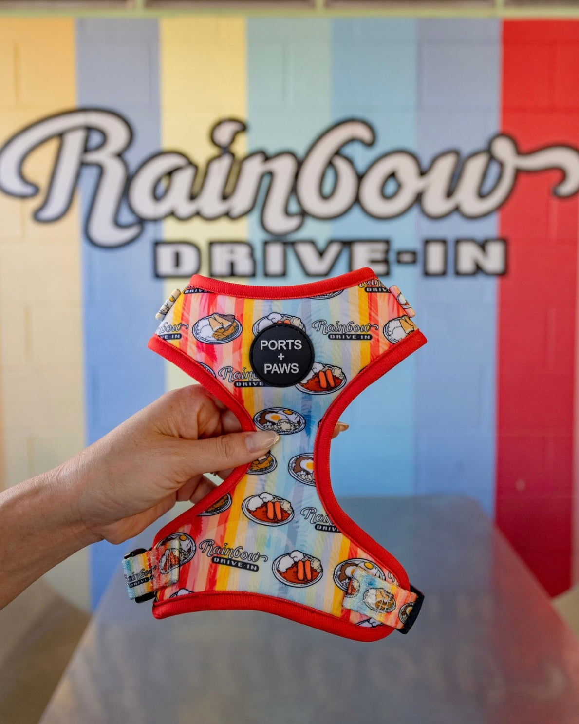 ADJUSTABLE HARNESS - RAINBOW DRIVE-IN