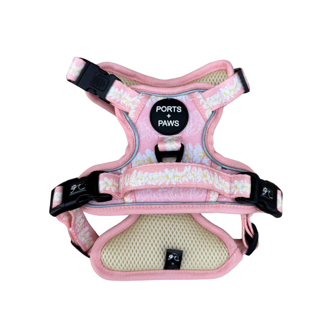 RUGGED HARNESS - PLUMERIA