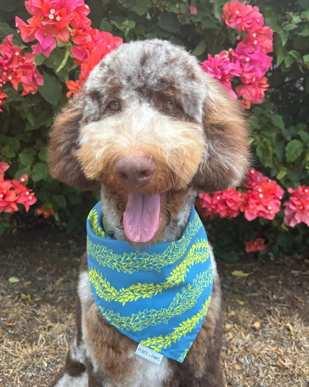 QUICK DRY BANDANA - PAKALANA LEI