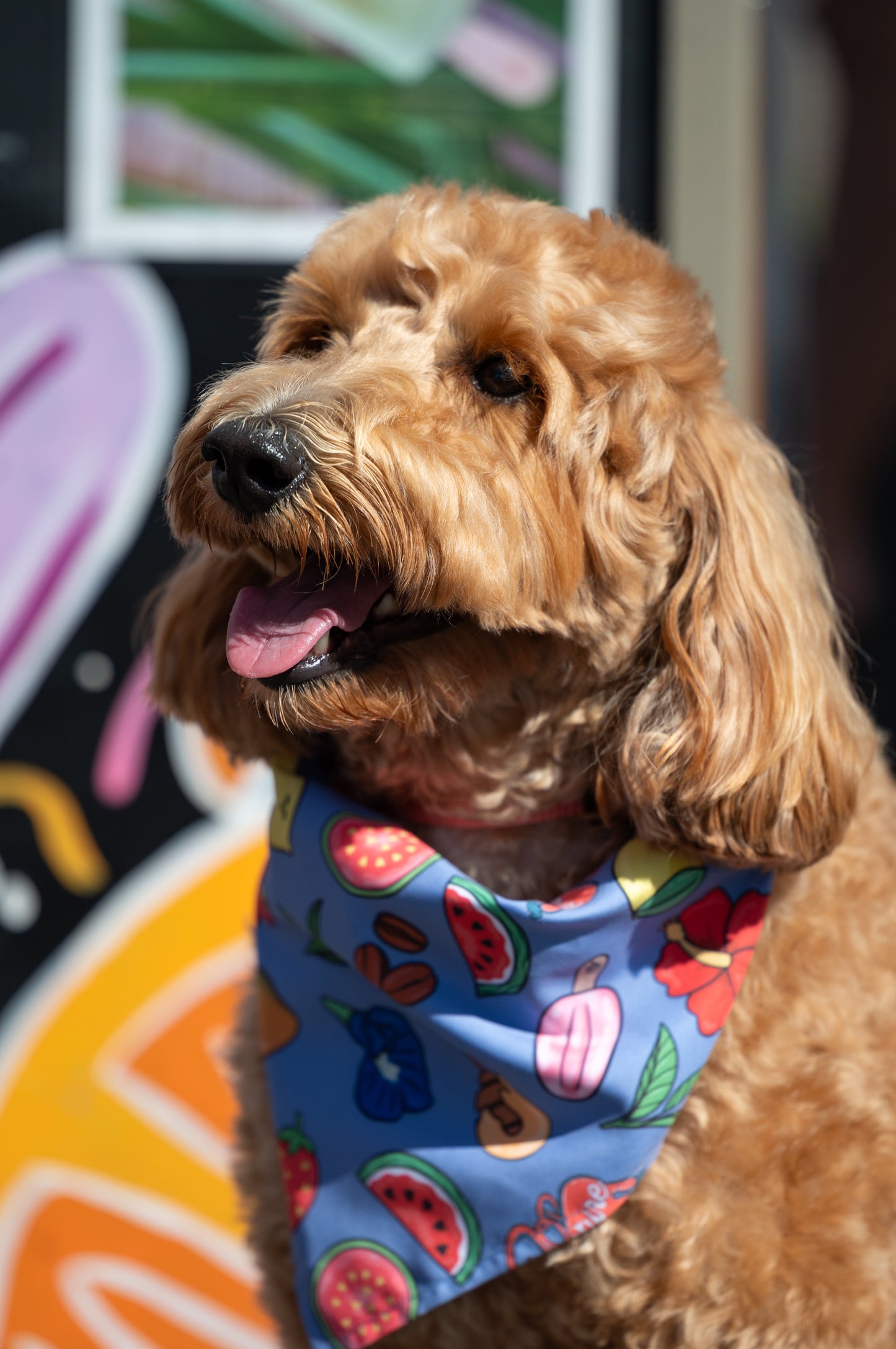 QUICK DRY BANDANA - POP CULTURE