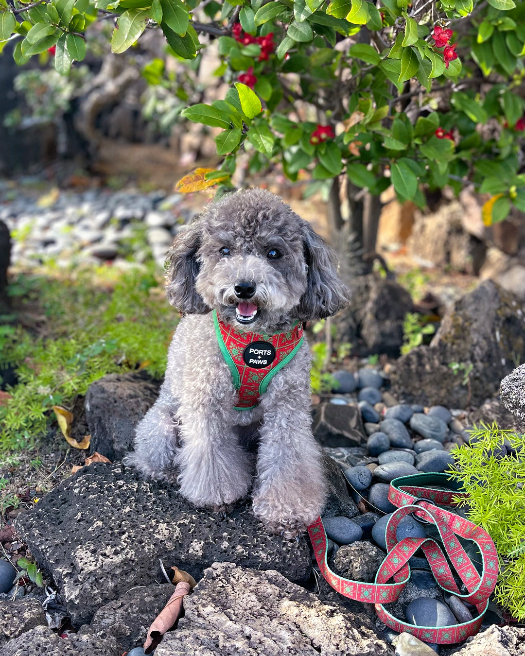 ADJUSTABLE HARNESS - HOLIDAY QUILT