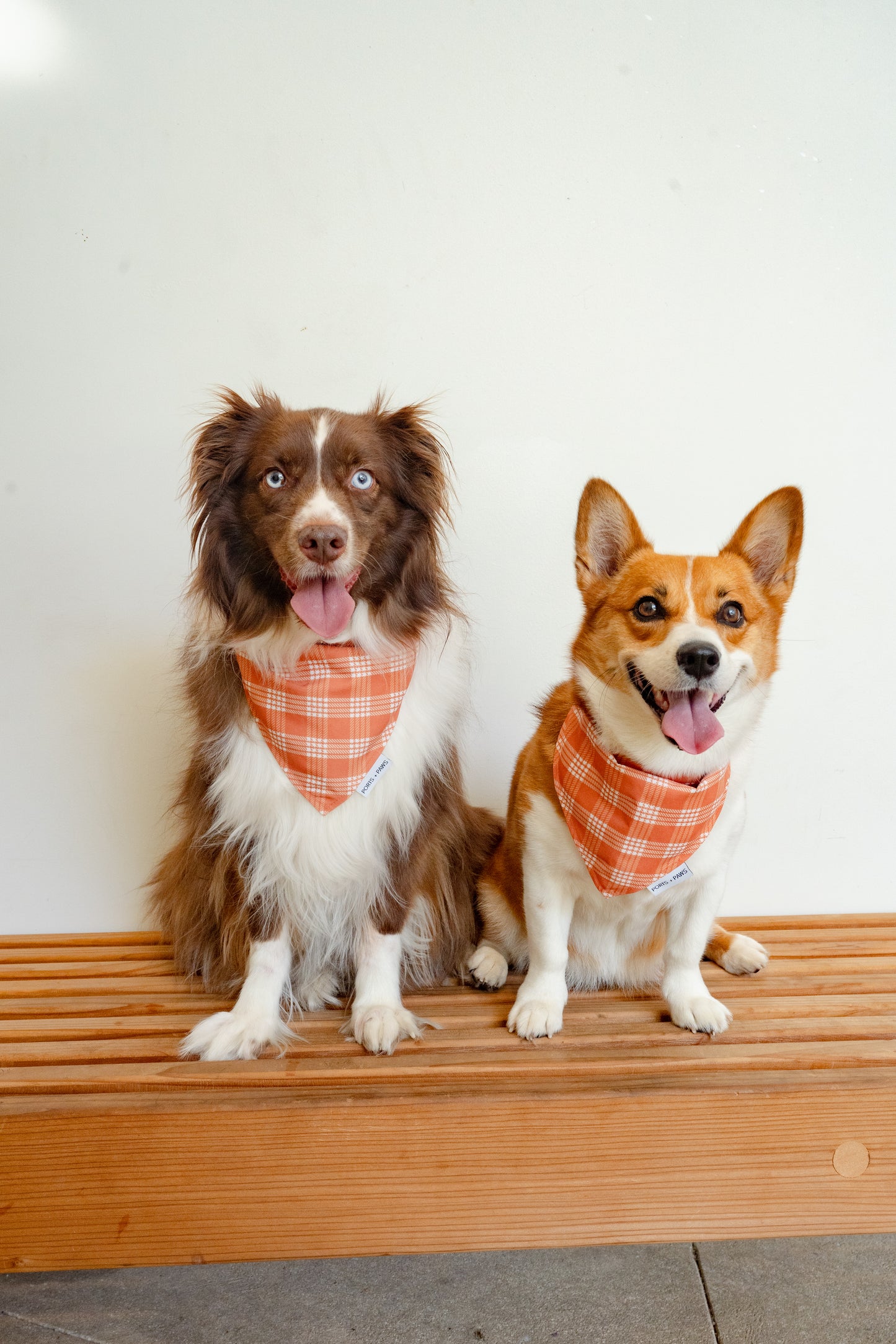 QUICK DRY BANDANA - PALAKA PUMPKIN SPICE