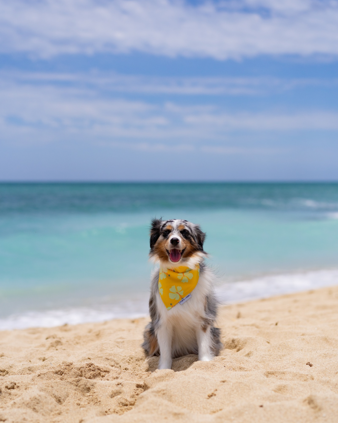 QUICK DRY BANDANA - HIBISCUS MANGO PAWLOMA