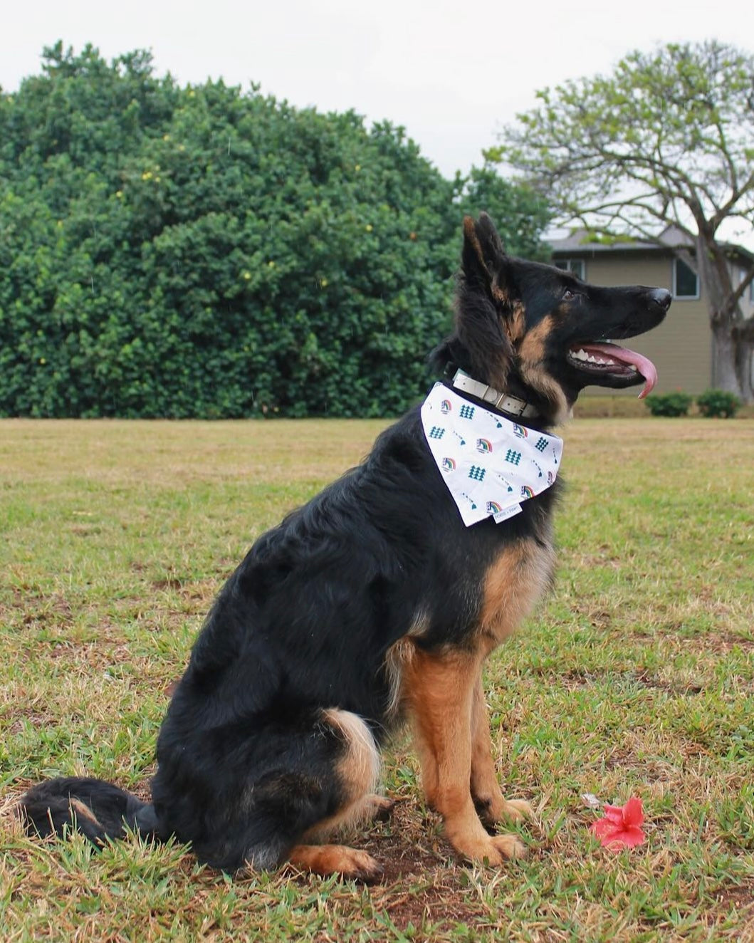 QUICK DRY BANDANA - UH VINTAGE WHITE