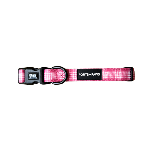 COLLAR - PALAKA PINK