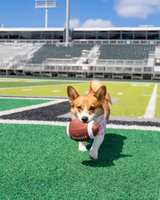 DOG TOY - UH FOOTBALL