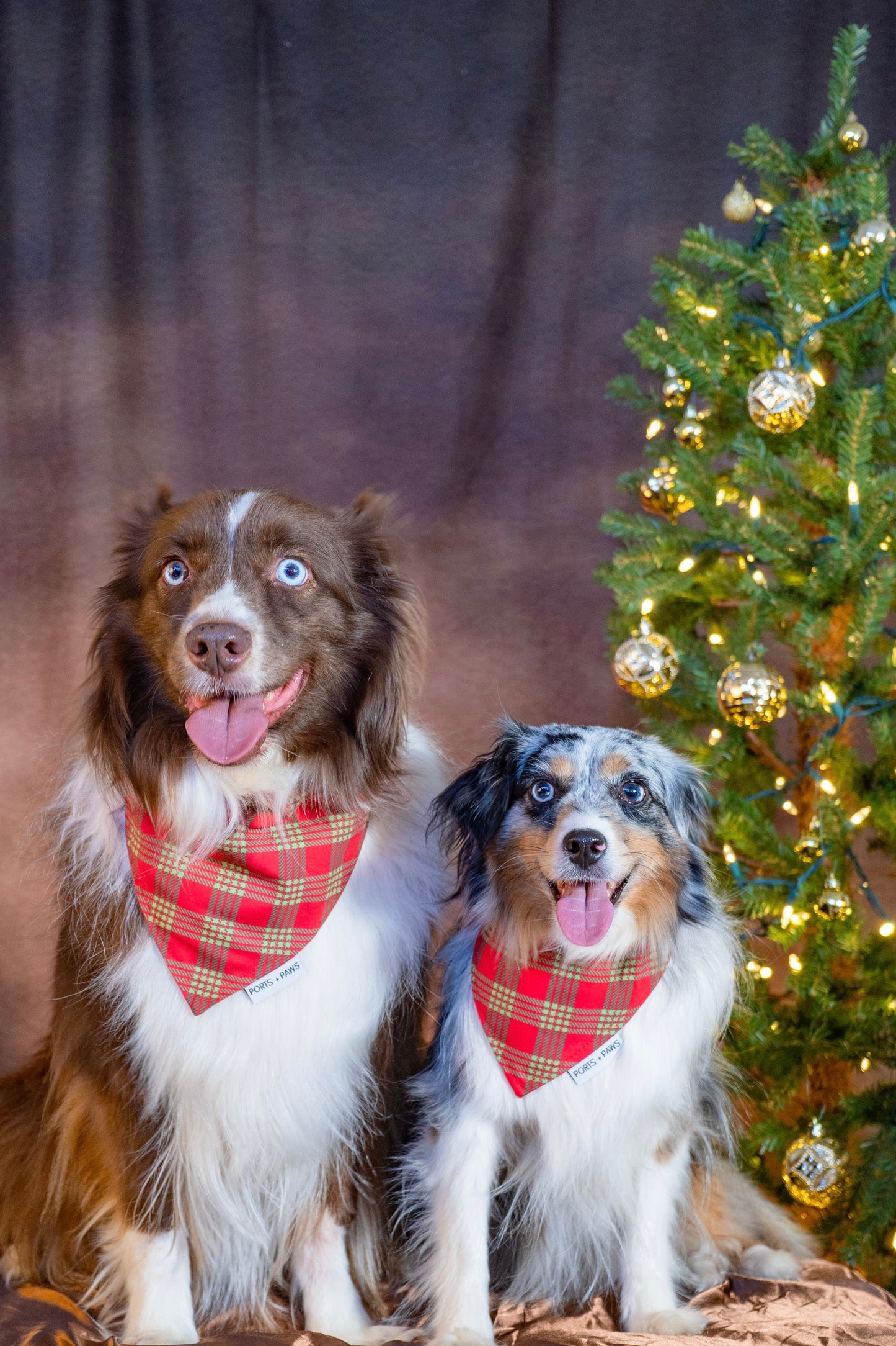 QUICK DRY BANDANA - PALAKA CHRISTMAS