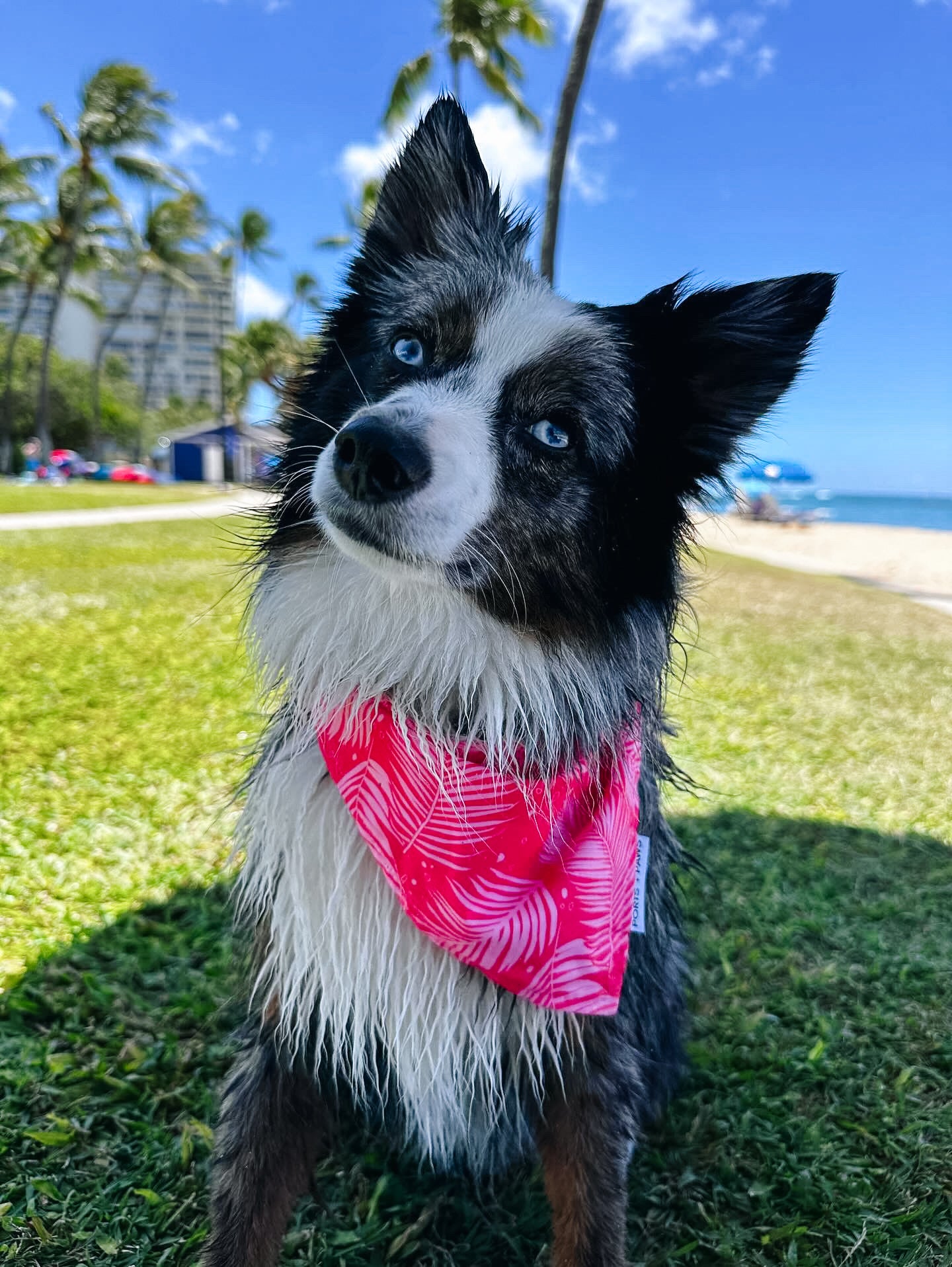 QUICK DRY BANDANA - PALM PINK