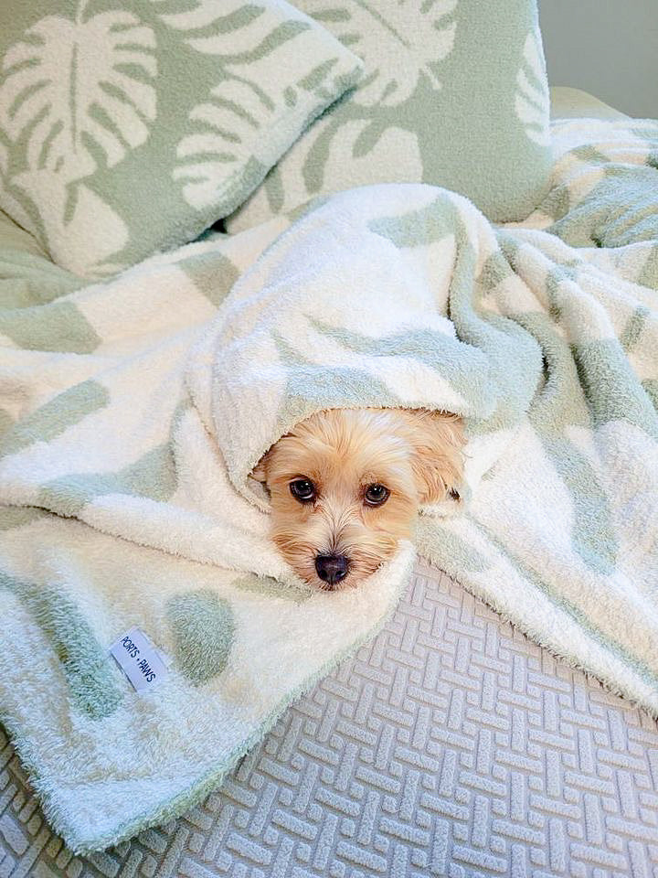 COZY BLANKET - MONSTERA