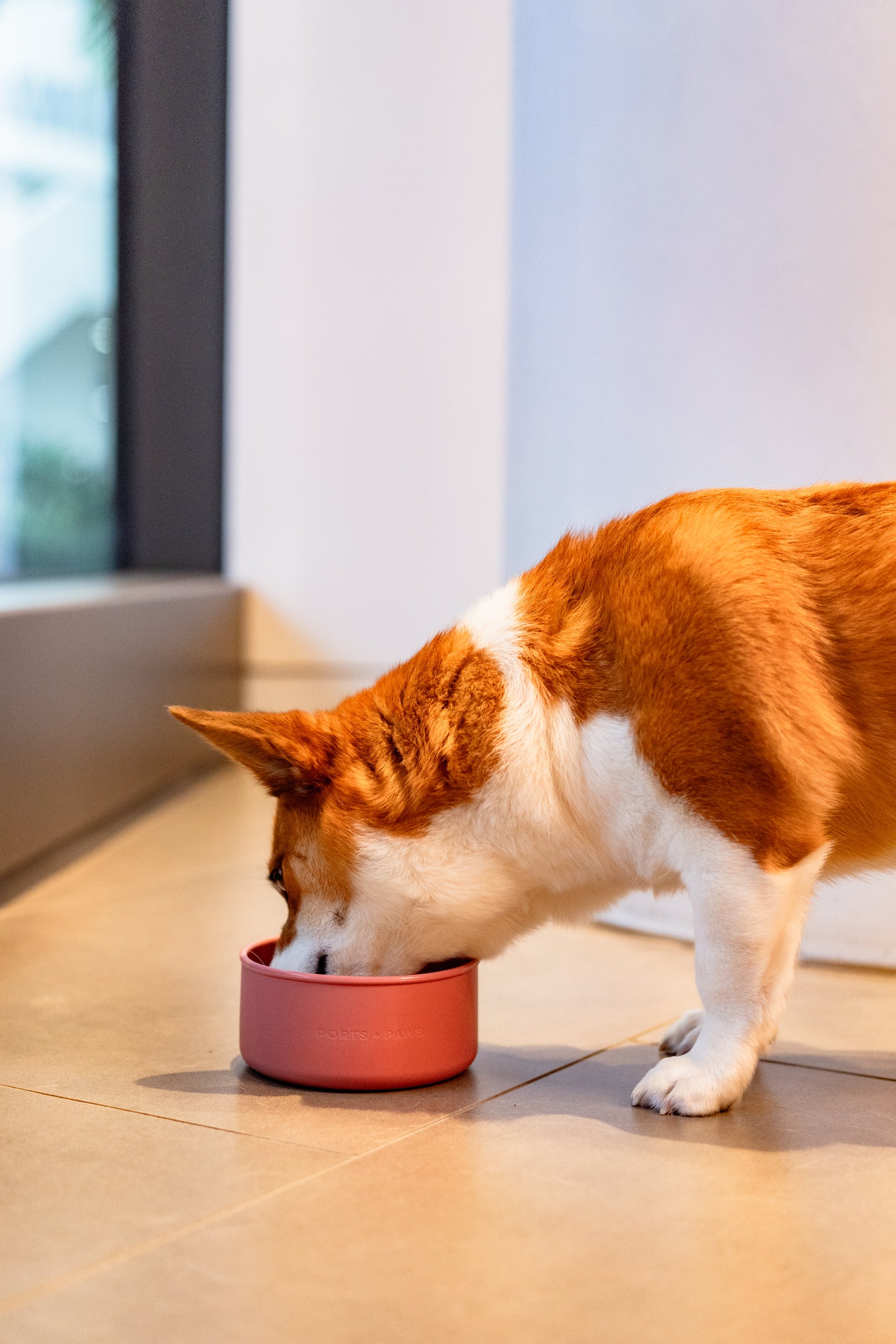 DOG BOWL - GUAVA