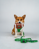 DOG TOY - UH FOOTBALL