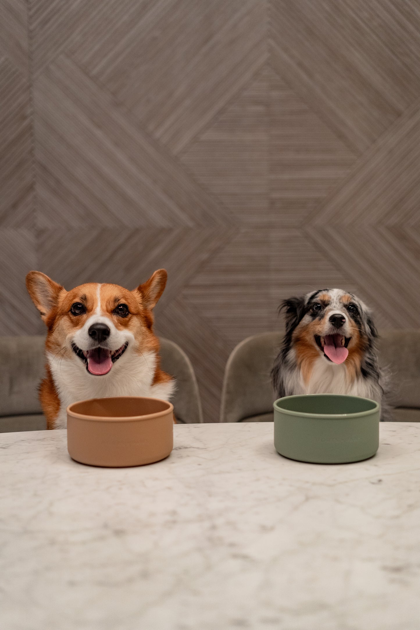 DOG BOWL - SAND