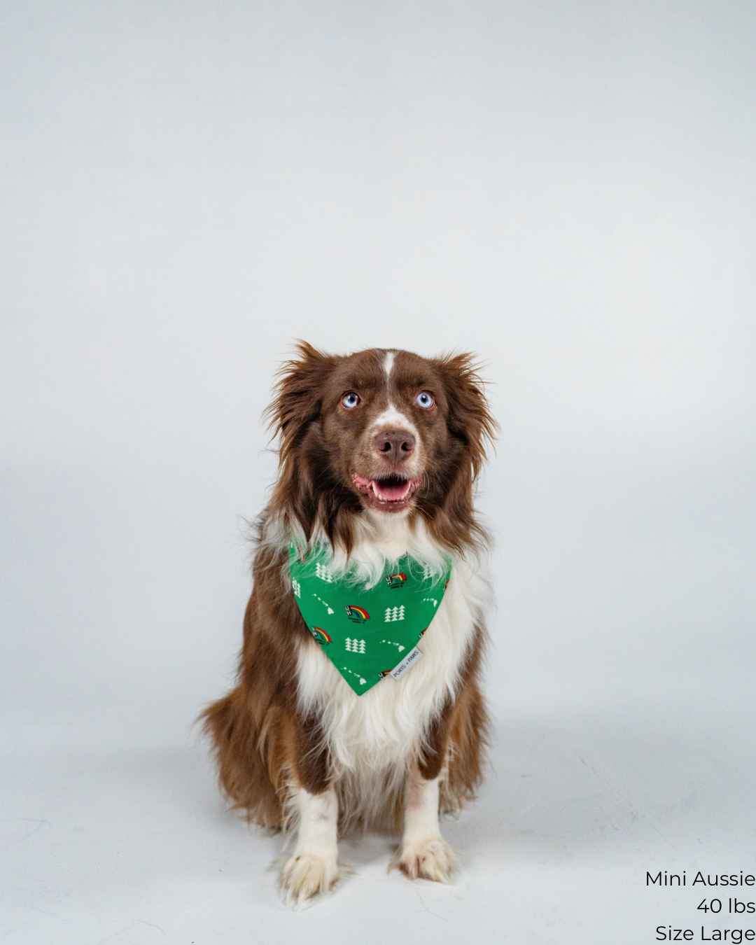 QUICK DRY BANDANA - UH VINTAGE GREEN