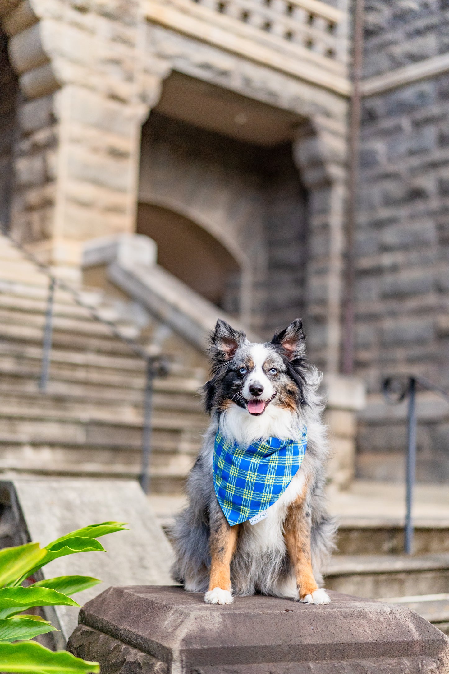 QUICK DRY BANDANA - PALAKA BUFF ‘N BLUE