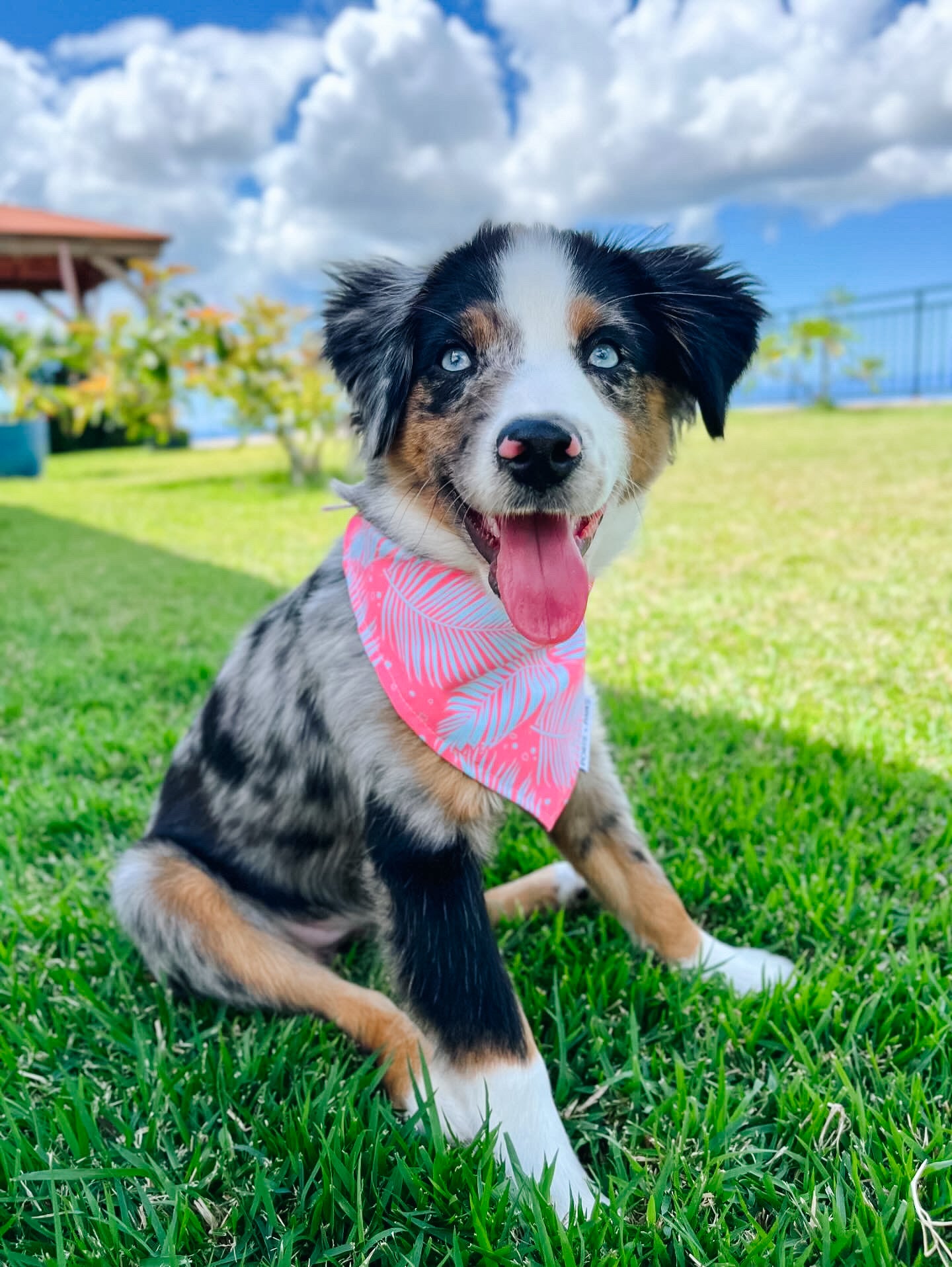 QUICK DRY BANDANA - PALM PINK/BLUE