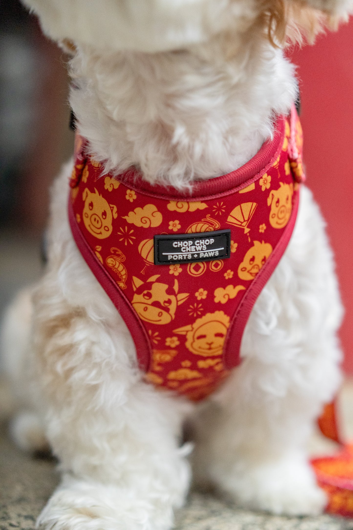ADJUSTABLE HARNESS - CHOP CHOP CHEWS LUNAR NEW YEAR