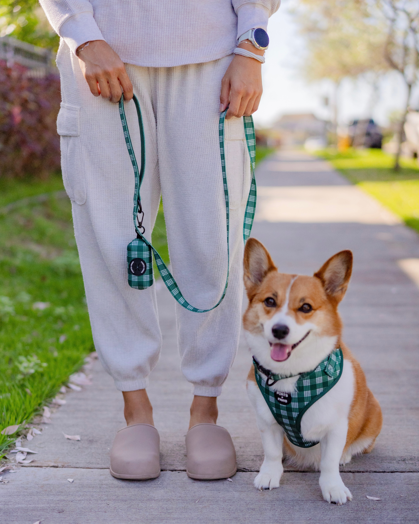 POOP BAG HOLDER - PALAKA GREEN