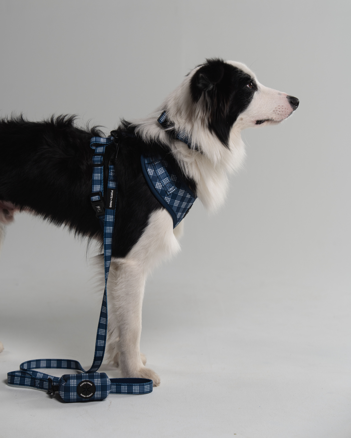 ADJUSTABLE HARNESS - PALAKA BLUE