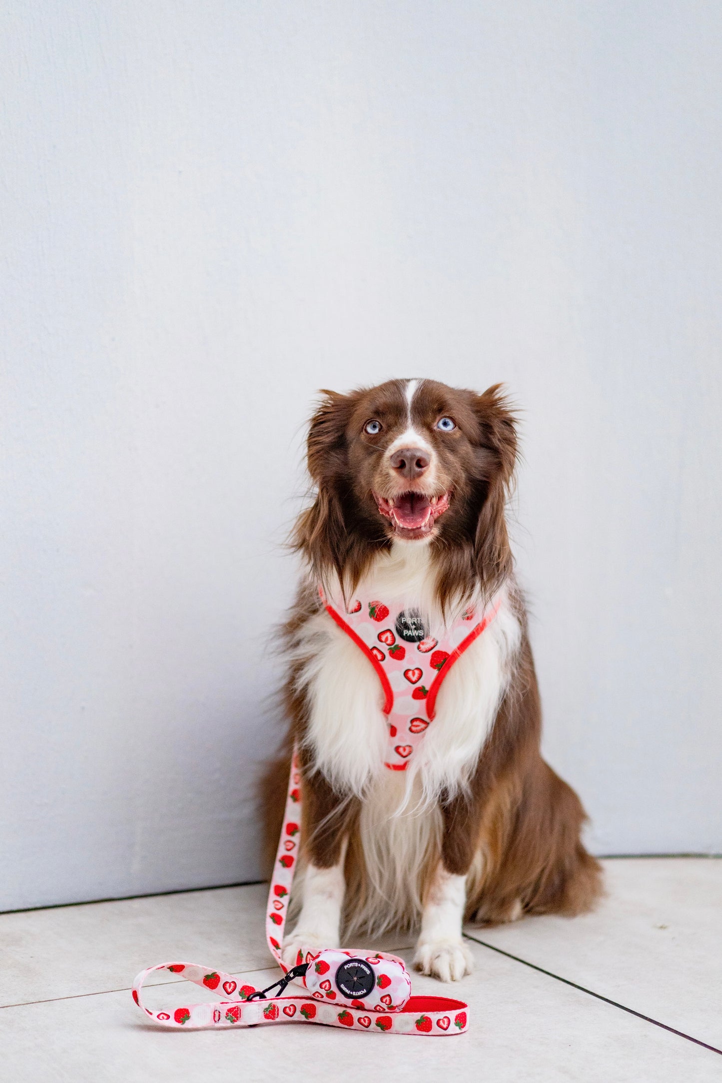 ADJUSTABLE HARNESS - STRAWBERRY MOCHI