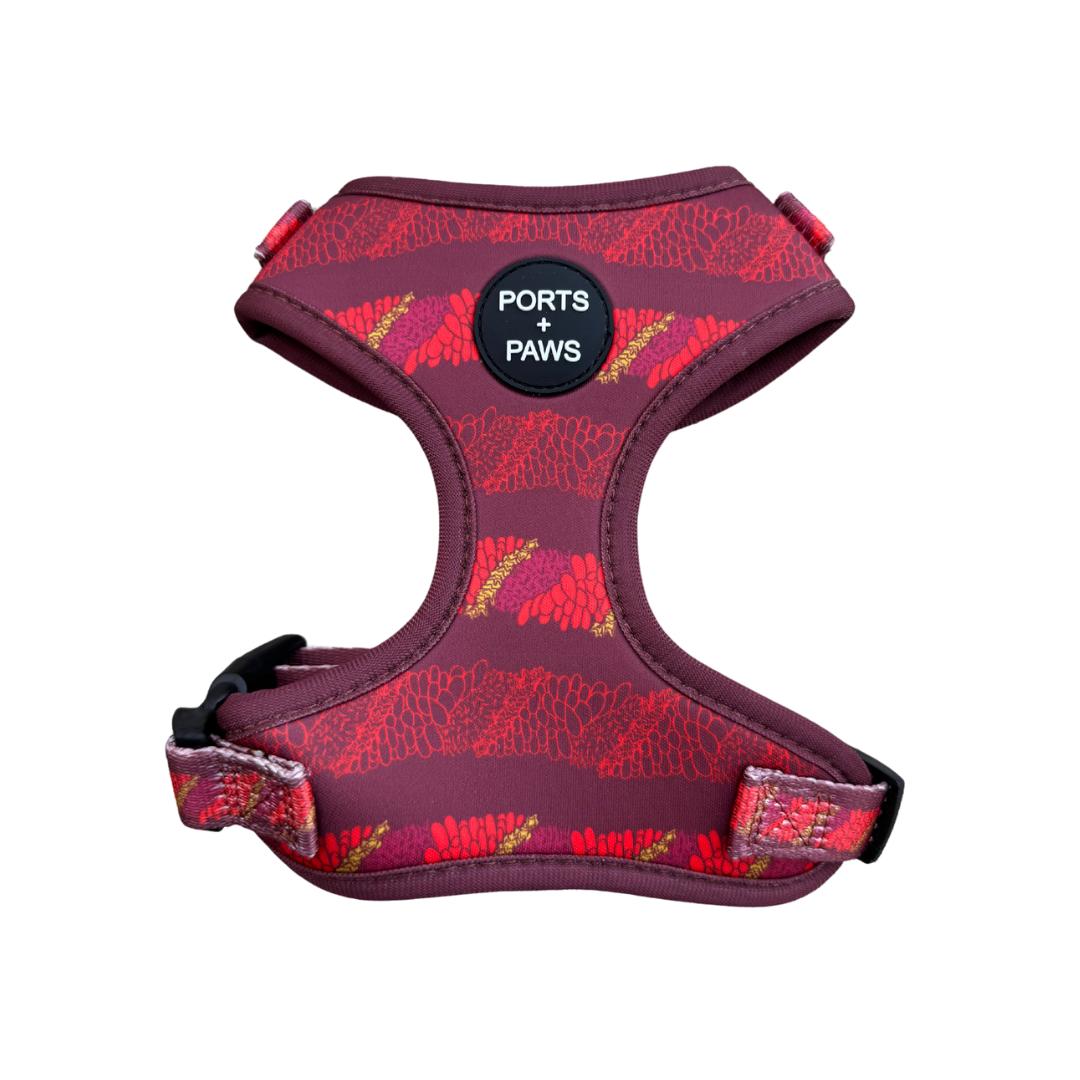 ADJUSTABLE HARNESS - CIGAR LEI