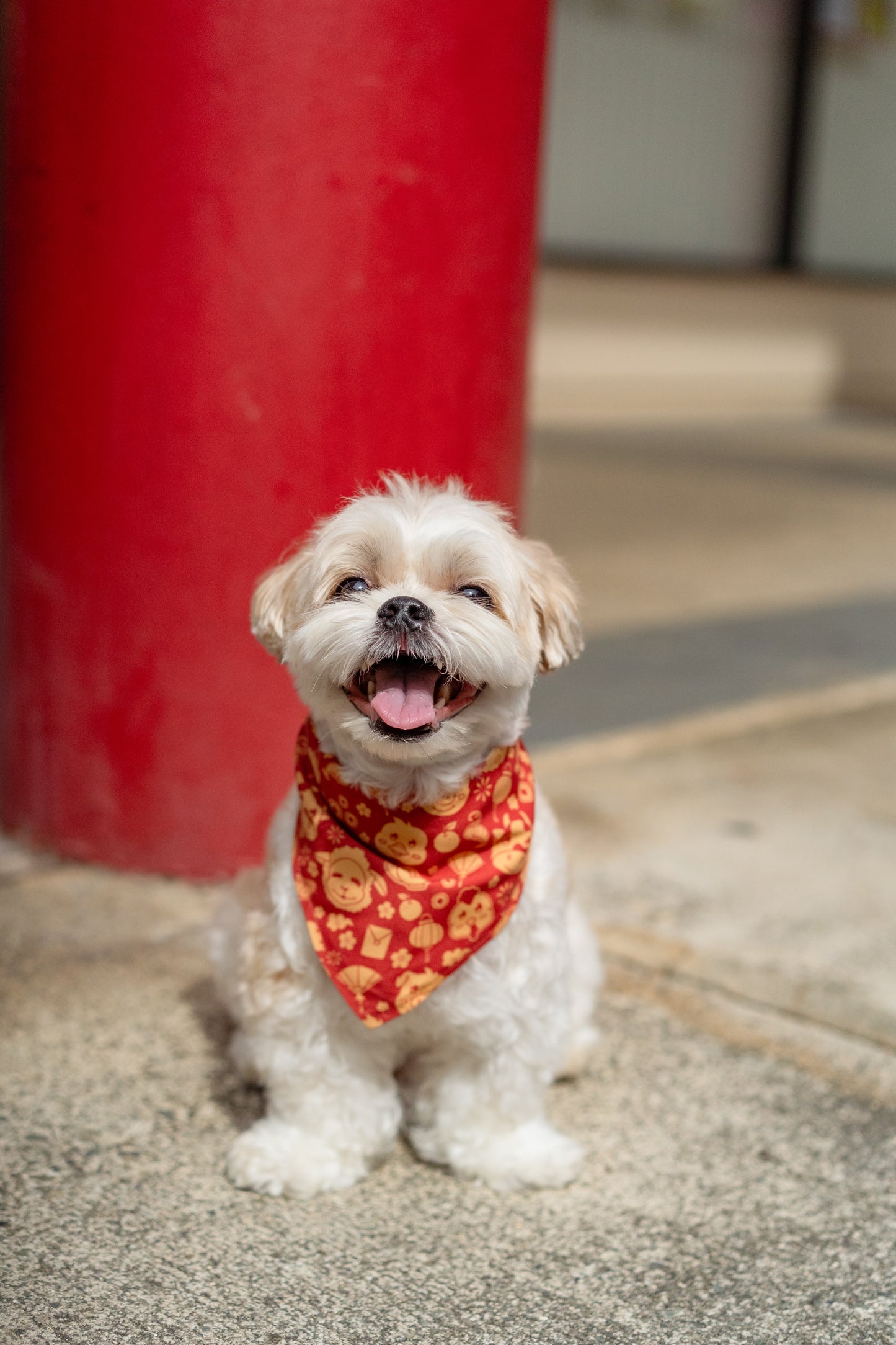 QUICK DRY BANDANA - CHOP CHOP CHEWS LUNAR NEW YEAR