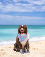 QUICK DRY BANDANA - BLUE PAWAIIAN