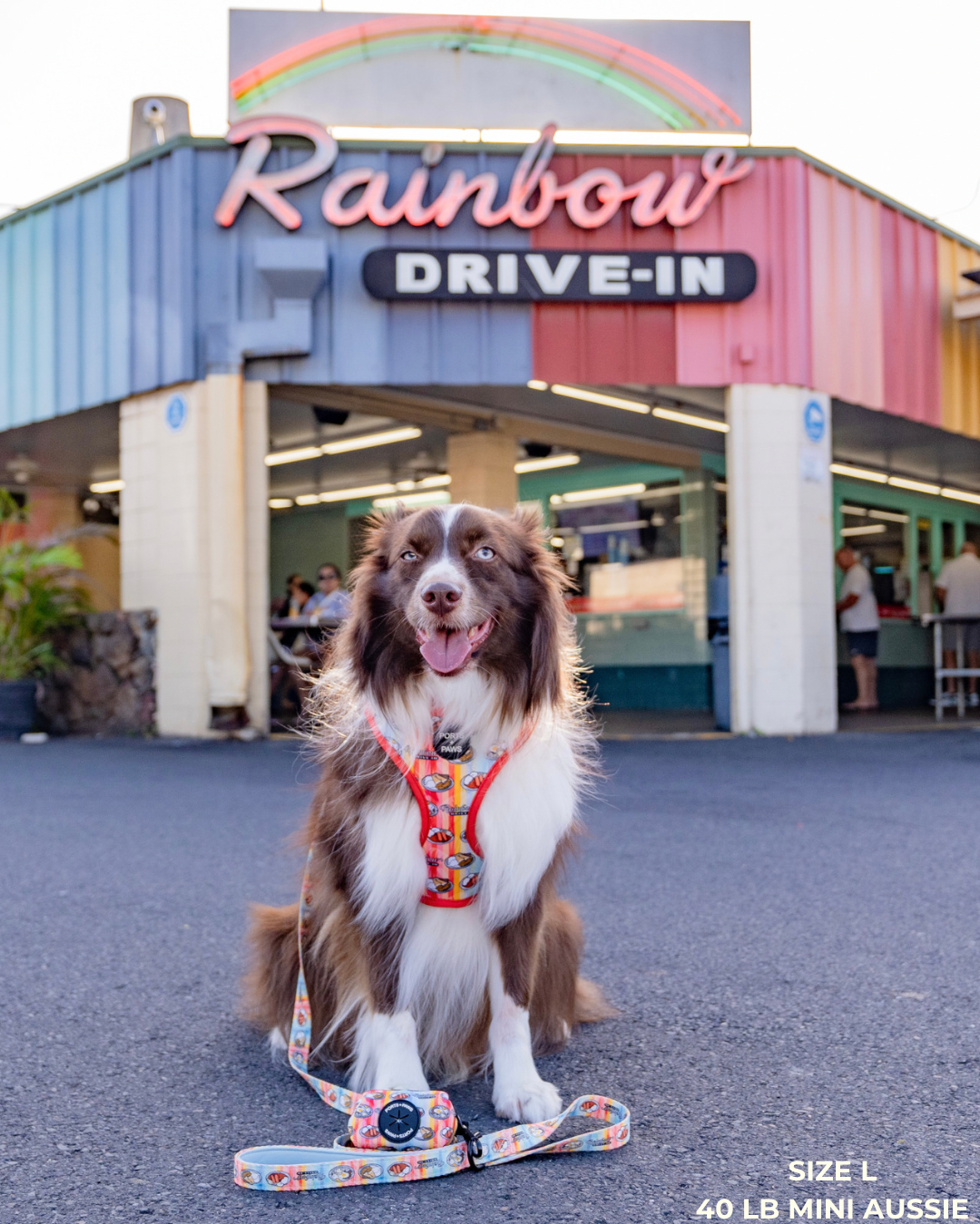 ADJUSTABLE HARNESS - RAINBOW DRIVE-IN