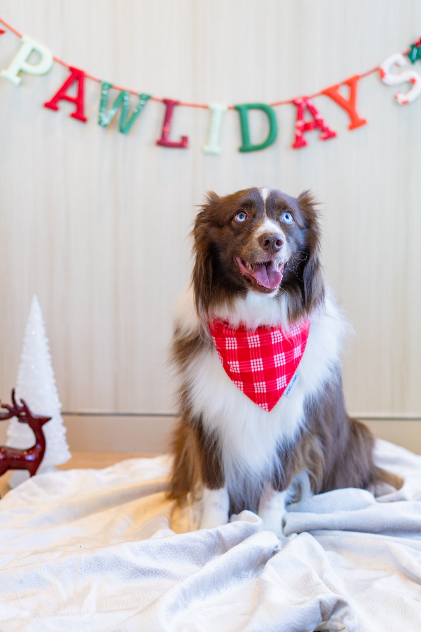 QUICK DRY BANDANA - PALAKA RED