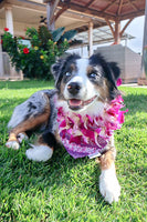 QUICK DRY BANDANA - ORCHID LEI