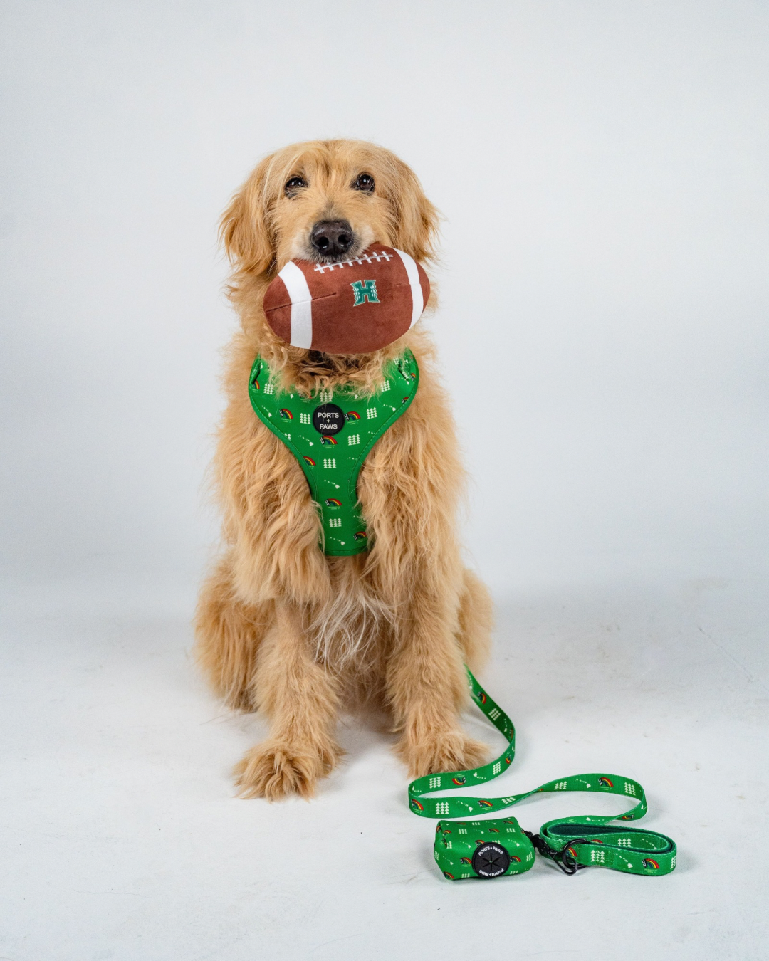 POOP BAG HOLDER - UH VINTAGE GREEN