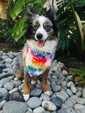 QUICK DRY BANDANA - RAINBOW MONSTERA