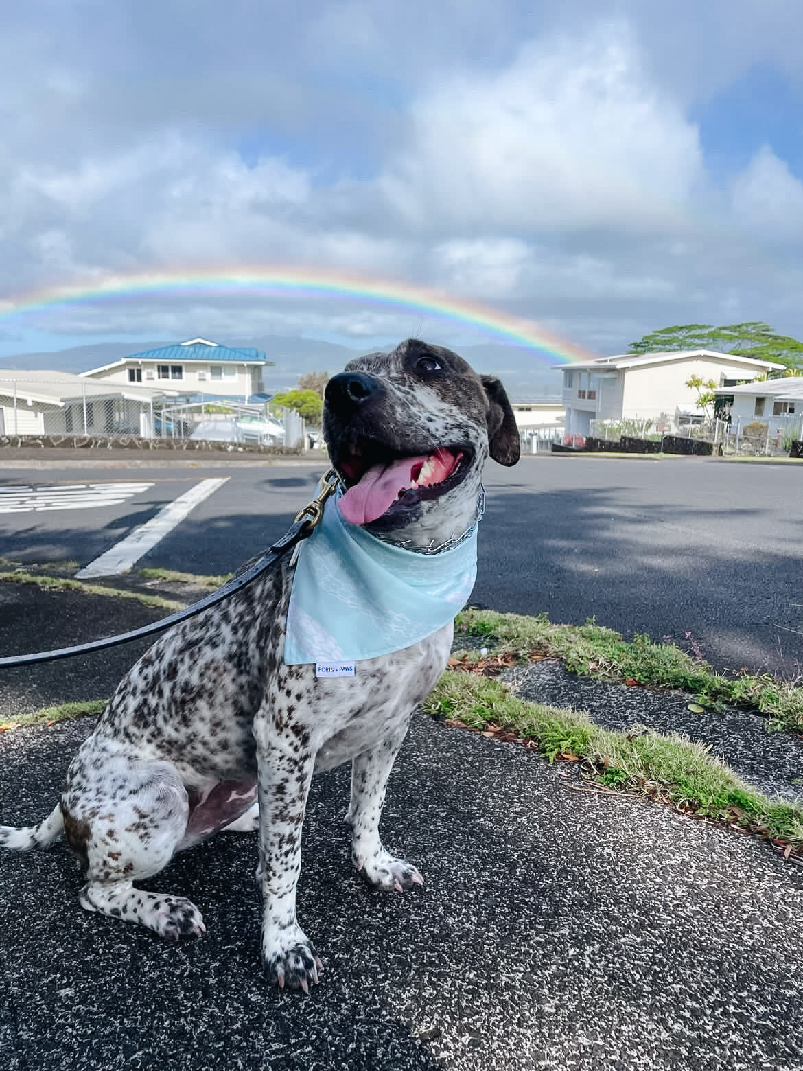 QUICK DRY BANDANA - PIKAKE LEI