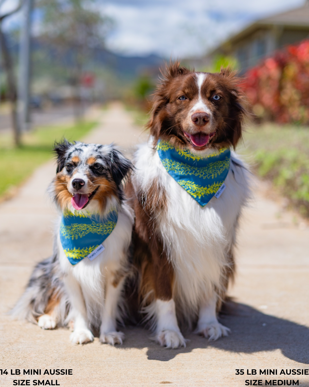 QUICK DRY BANDANA - PAKALANA LEI