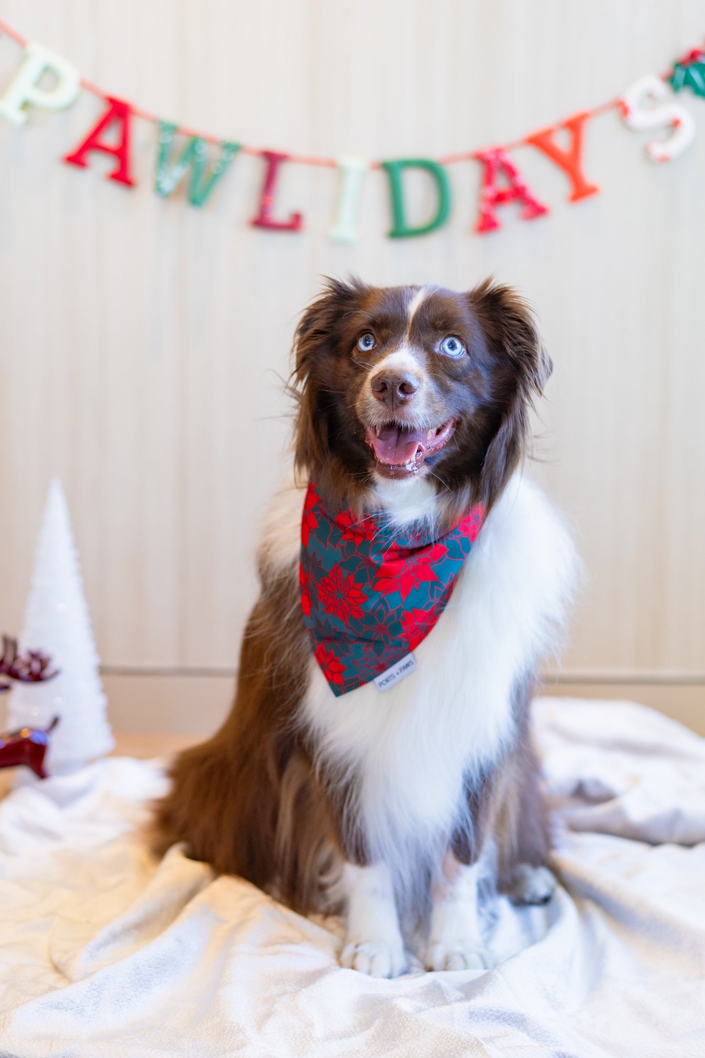 QUICK DRY BANDANA - POINSETTIA