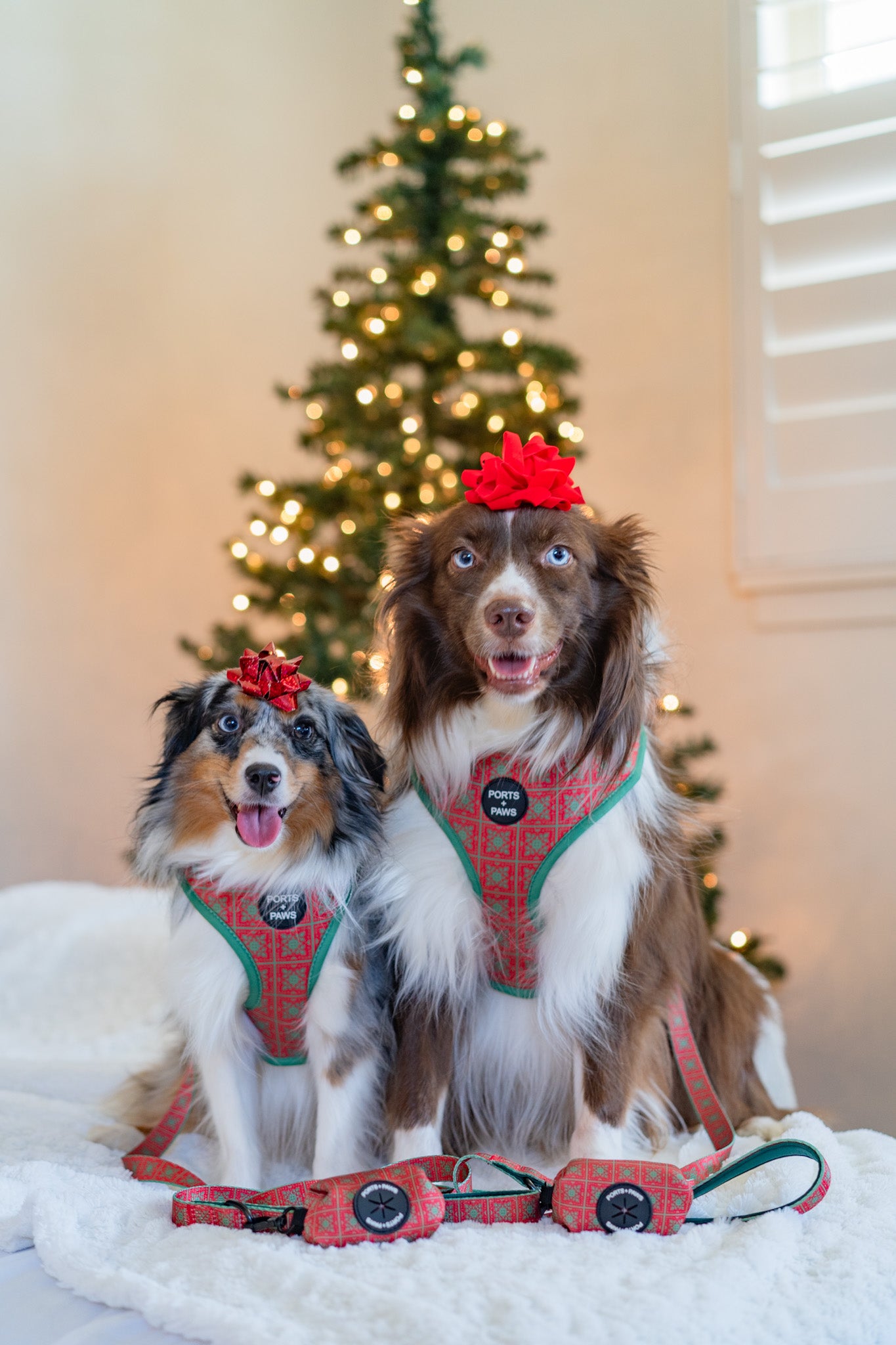 ADJUSTABLE HARNESS - HOLIDAY QUILT