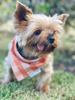 QUICK DRY BANDANA - PALAKA PUMPKIN SPICE