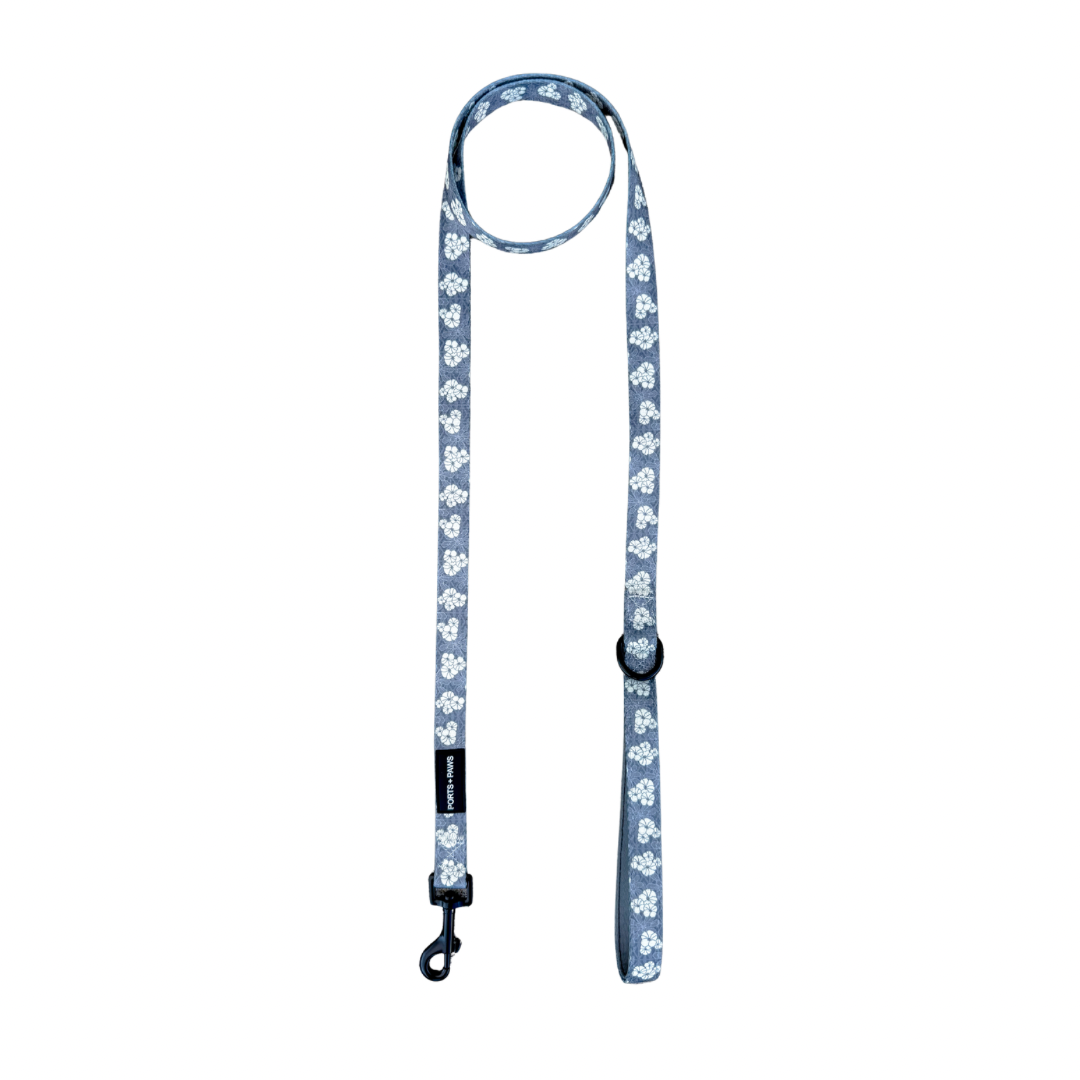 LEASH - KAHOʻOLAWE HINAHINA