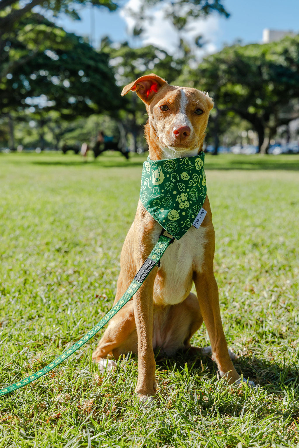 QUICK DRY BANDANA - HAWAIIAN HUMANE SOCIETY